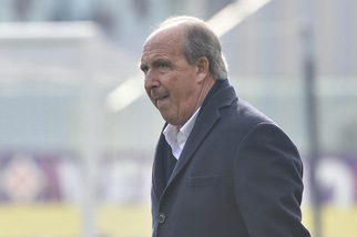 Torino, Ventura: «C'era rigore su Baselli»