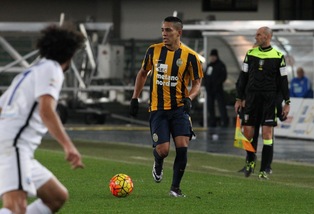 Serie A Gilberto: «Verona, la salvezza è possibile»