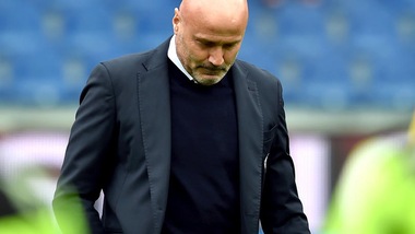 Serie A Udinese, Colantuono: «Peccato». Thereau: «Così fa male»