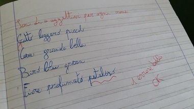 "Petaloso" spopola sui social e contagia anche i tifosi della Juventus