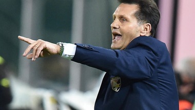 Serie A Palermo, Novellino: «Sono certo della salvezza»