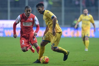 Serie A Frosinone, Gori-Pavlovic a disposizione di Stellone