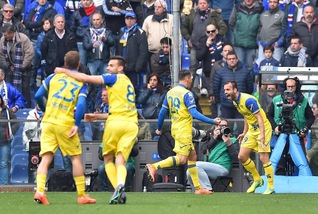 Sampdoria-Chievo 0-1: blucerchiati ko, bene Maran