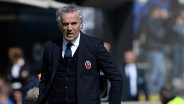 Toto Ct, Saputo: «Donadoni resta a Bologna»