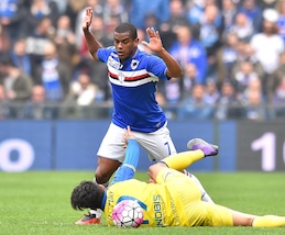 Serie A Sampdoria, Fernando ok: recupera per la Fiorentina