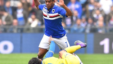 Serie A Sampdoria, Fernando ok: recupera per la Fiorentina