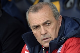 Serie A Carpi, Castori: «Il Chievo è la squadra rivelazione»