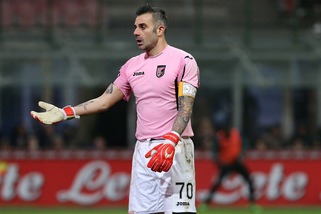 Serie A Palermo, Sorrentino: «Speriamo che accettino il ricorso»