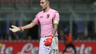 Serie A Palermo, Sorrentino: «Speriamo che accettino il ricorso»