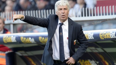 Serie A Genoa, Gasperini: «Per il derby Pavoletti al top, Cerci ko»