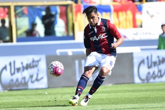 Serie A Bologna, contro il Chievo ballottaggio Pulgar-Taider