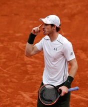 Roland Garros: Wawrinka-Murray, semifinale da sogno