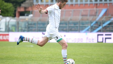 Calciomercato Sampdoria, Pioli o Giampaolo in panchina. Occhi su Palumbo