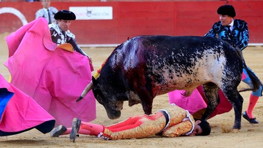 Spagna, torero muore durante la corrida