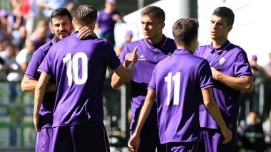 Calciomercato Fiorentina, Van Beek resta una pista viva