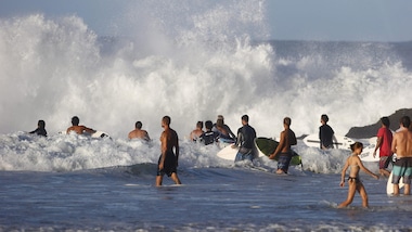 Evoluzioni della specie