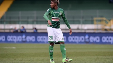 Calciomercato Chievo, ad un passo Bastien e De Guzman