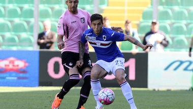 Serie A Palermo, operazione per Andelkovic: lesione all'arcata orbitale