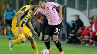 Serie A Palermo, per Trajkovski lavoro differenziato