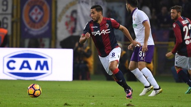 Serie B Bologna, in gruppo Maietta e Taider