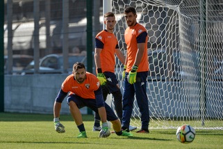 Torino, Sirigu il più cercato. Ljajic nel cuore della gente