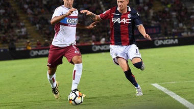Serie A Bologna, Krejci operato: salta il Sassuolo