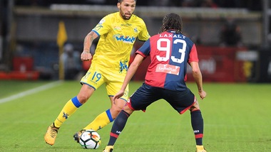 Serie A Chievo, Radovanovic: «Fiorentina? Dobbiamo essere noi stessi»