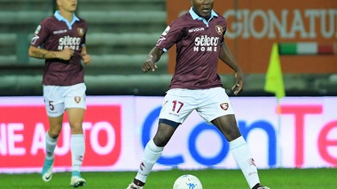 Serie B Salernitana, Bollini: «Ripartiamo con equilibrio e concretezza»