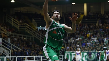 Champions League, Avellino cede allo Zielona Gora