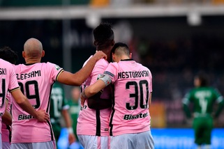 Serie B Palermo, Giammarva: «Inconsistente l'istanza di fallimento»