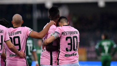 Serie B Palermo, Giammarva: «Inconsistente l'istanza di fallimento»