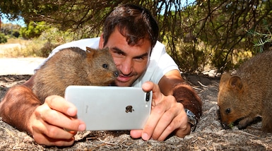 Tennis, che selfie Federer con il suo nuovo amico Quokka!