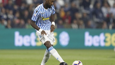 Serie A Spal, si rivede Djourou con il gruppo