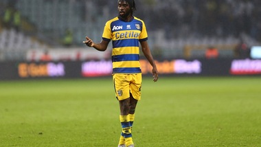 Serie A Parma, Gervinho si è allenato con la squadra