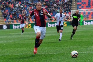 Serie A Bologna, Santander ha lavorato con i compagni