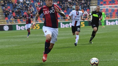 Serie A Bologna, Torino nel mirino. Santander: terapie