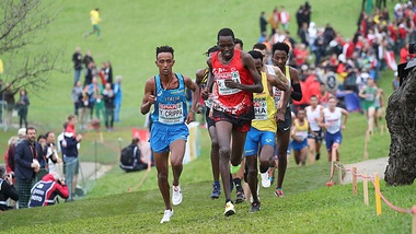 Rivincita dei campionati europei al Campaccio