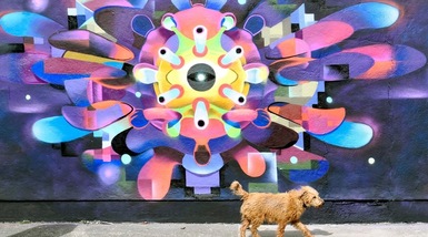 Il Coronavirus diventa un murales a Dublino