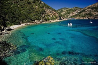 Isola d'Elba: fascino irresistibile