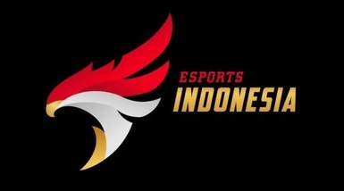 L'Indonesia legittima gli esport come vero sport