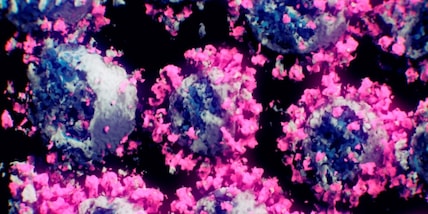 Onu, annuncio shock: "Arriverà un'era di pandemie"