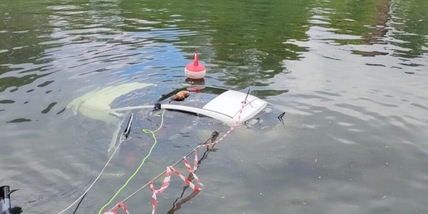 Torino, Fiat 500 finisce nel Po mentre il proprietario era a ballare