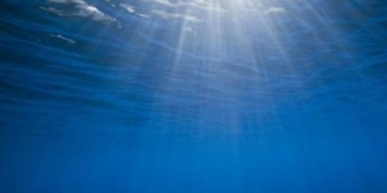 Fossile preistorico in Svizzera, svelata l'identità: è un antenato dei delfini