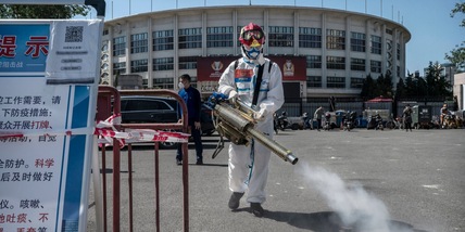 Covid, la Cina rinuncia a ospitare la Coppa d'Asia 2023