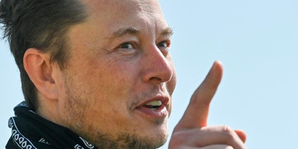 La richiesta di Musk a Twitter: "Fornite i dati su account spam"