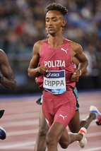 42° Golden Gala, riflettori su Crippa, c'è ma non basta