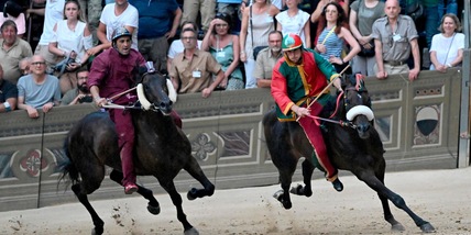 Palio di Siena, arrivo al fotofinish: il Drago beffa la Torre