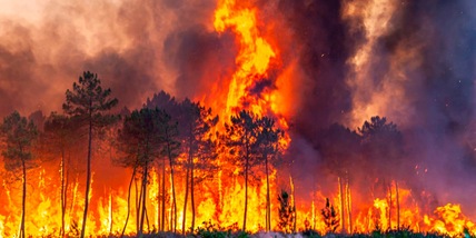Francia, a causa degli incendi 5mila persone evacuate nella Gironda
