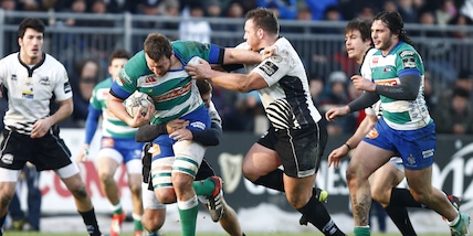 Zebre, sospesa campagna abbonamenti: "Incertezze per la pandemia"