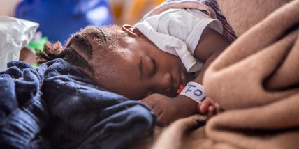 Berlino: "Ad agosto pronti ad accogliere migranti dall'Italia"